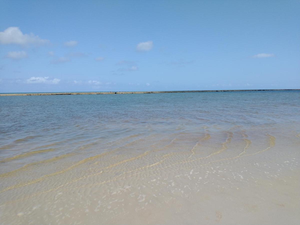 Palm Village Acqua - Apartamento Premium - Em Frente A Piscina - Pôrto das Galinhas מראה חיצוני תמונה