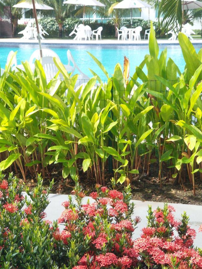 Palm Village Acqua - Apartamento Premium - Em Frente A Piscina - Pôrto das Galinhas מראה חיצוני תמונה